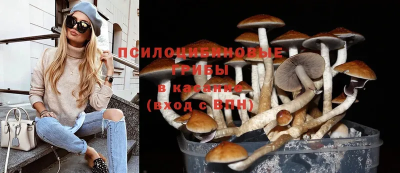 Галлюциногенные грибы Magic Shrooms  наркотики  Еманжелинск 